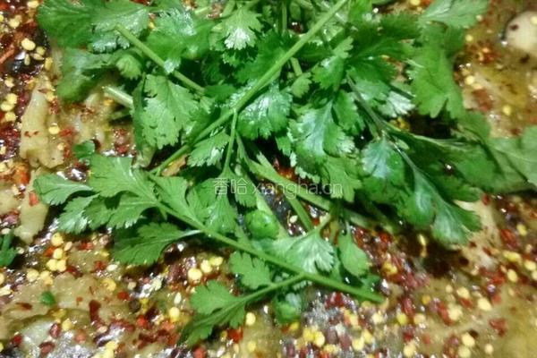 香辣牛肚火锅的做法图解9