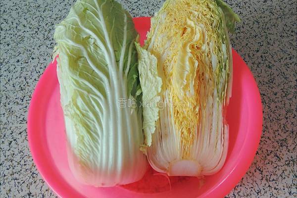 正宗东北泡菜辣白菜的做法的做法图解2