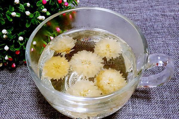 菊花茶的做法图解4