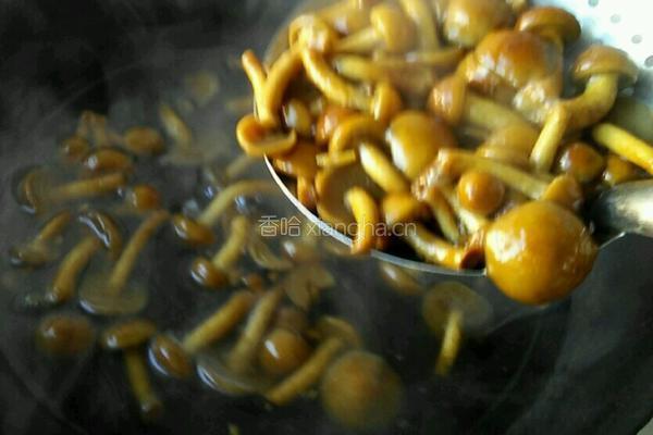 滑子蘑的做法图解4