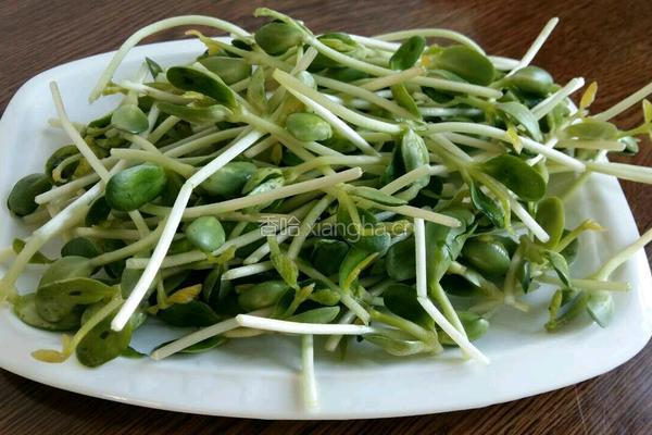 豆苗猪肝汤的做法图解2