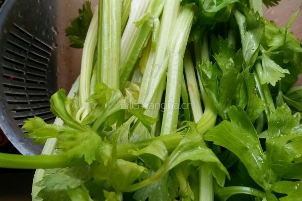 芹菜猪肉馅包子的做法图解4