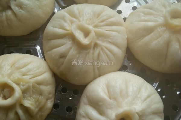 芹菜猪肉馅包子的做法图解10
