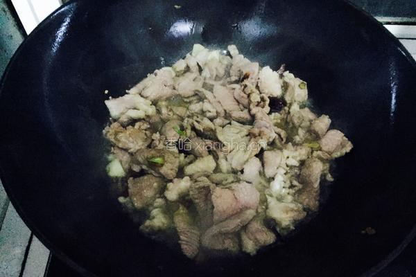酸菜羊肉的做法图解4