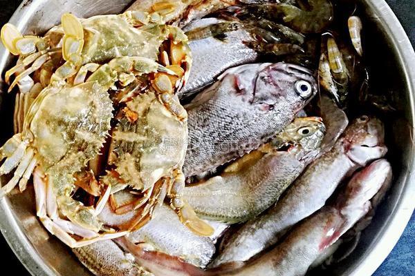 铁锅炖鱼的做法图解1