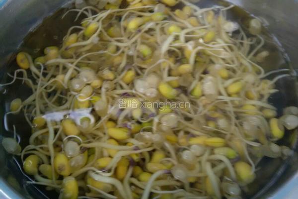 炒豆芽的做法图解3