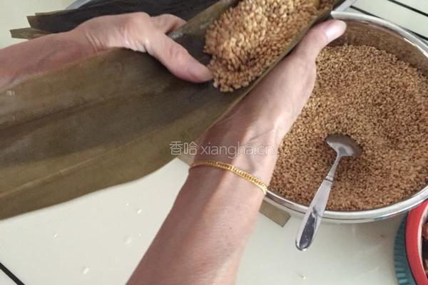 咸肉栗子粽的做法图解8