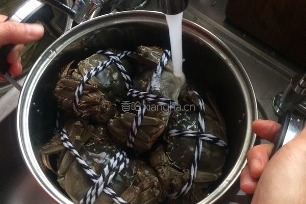 清煮大闸蟹的做法图解5