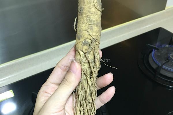 人参鸡汤的做法图解2