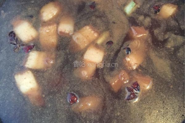 白菜粉条炖猪肉的做法图解7