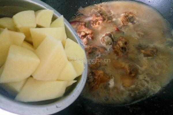 土豆炖鸡肉的做法图解8