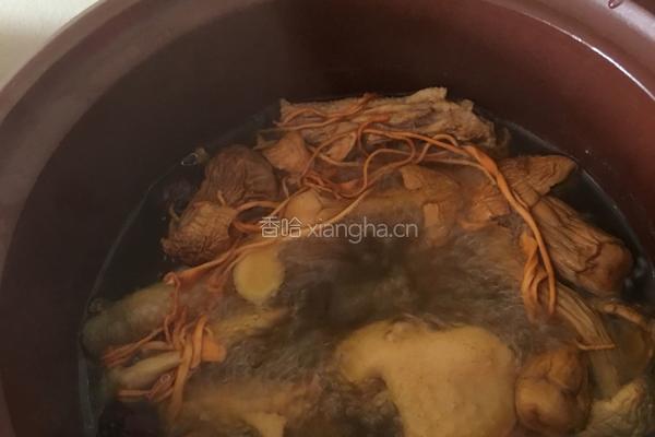 虫草花姬松茸煲鸡汤的做法图解5