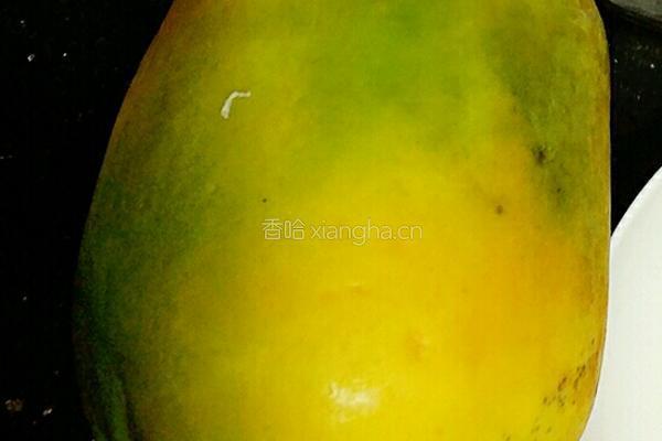青木瓜雪耳糖水的做法图解4
