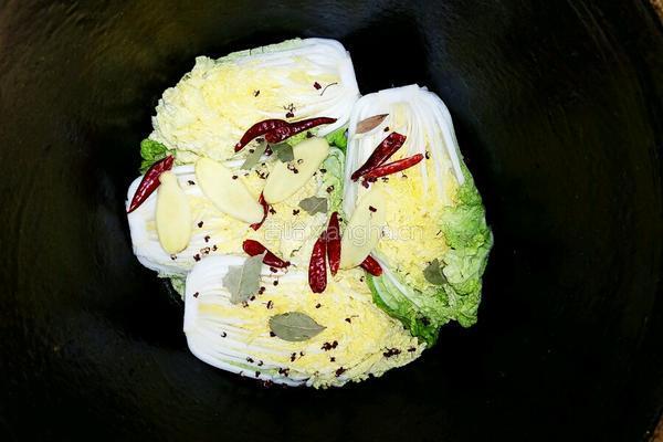酸白菜的做法图解4