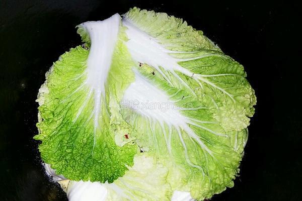 酸白菜的做法图解5