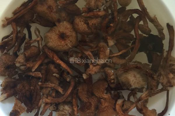 小鸡炖蘑菇粉条的做法图解3