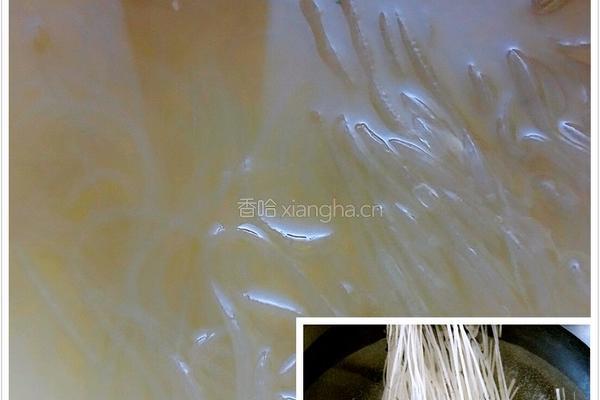 萝卜粉条素包的做法图解5