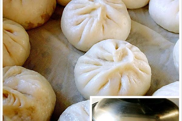萝卜粉条素包的做法图解16