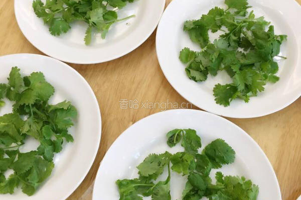 小兔踏青的做法图解2
