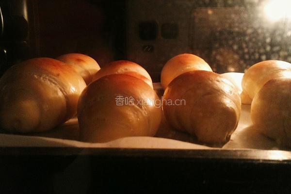 黄油卷的做法图解10