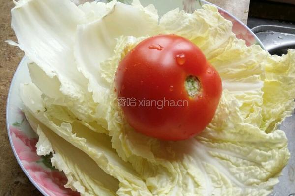 西红柿煮白菜的做法图解1