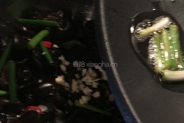 凉拌云耳的做法图解10