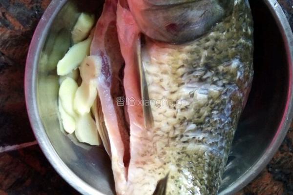 鲫鱼豆腐下奶汤的做法图解1