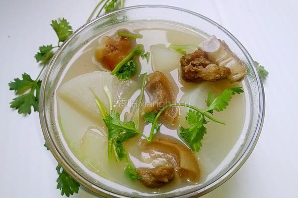 羊肉萝卜汤的做法图解14