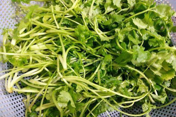 香菜香菇猪肉馅饺子的做法图解3