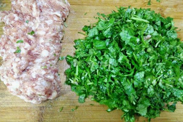 香菜香菇猪肉馅饺子的做法图解4