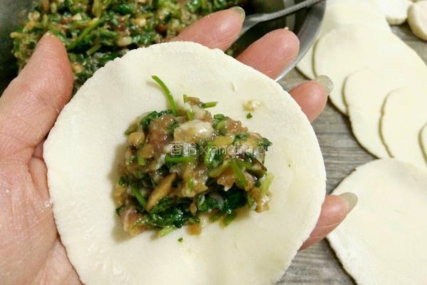 香菜香菇猪肉馅饺子的做法图解14