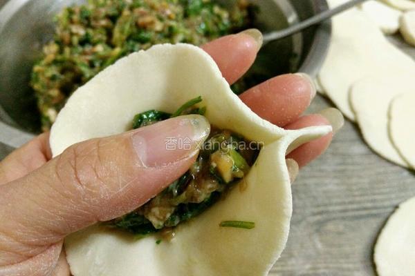 香菜香菇猪肉馅饺子的做法图解15