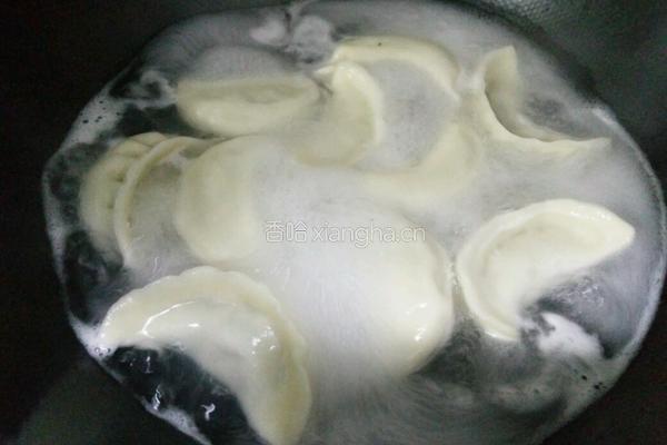 香菜香菇猪肉馅饺子的做法图解21