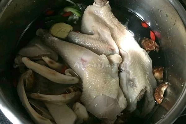 松茸炖鸡的做法图解4