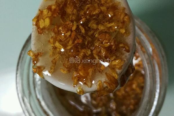 自制桂花蜜的做法图解8