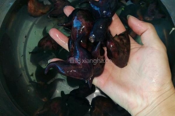 盐水菱角的做法图解1