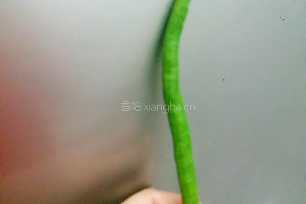 可乐红烧肉的做法图解9