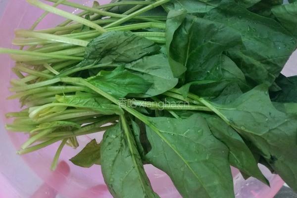 千张拌菠菜 的做法图解1