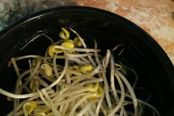 豆芽汤的做法图解1