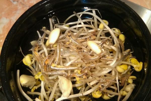 豆芽汤的做法图解4