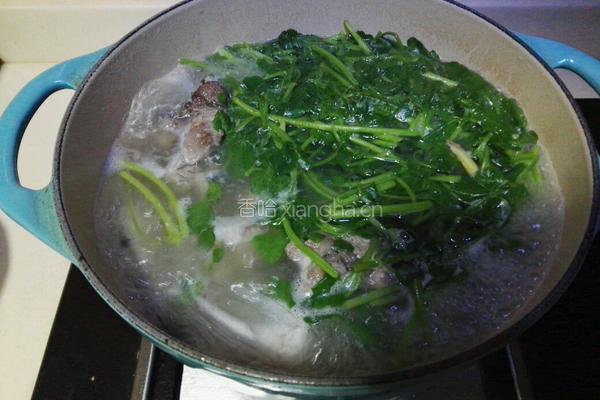 九肚鱼西洋菜汤的做法图解7