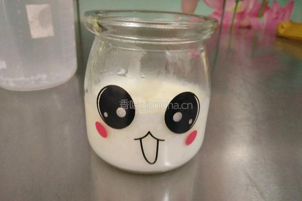 双皮奶的做法图解10