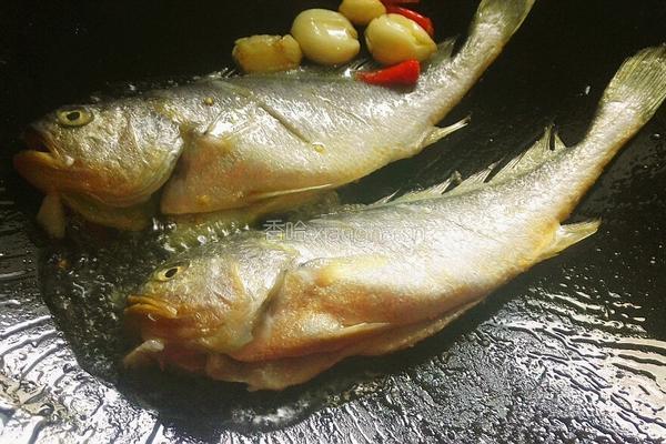 红烧黄花鱼的做法图解6