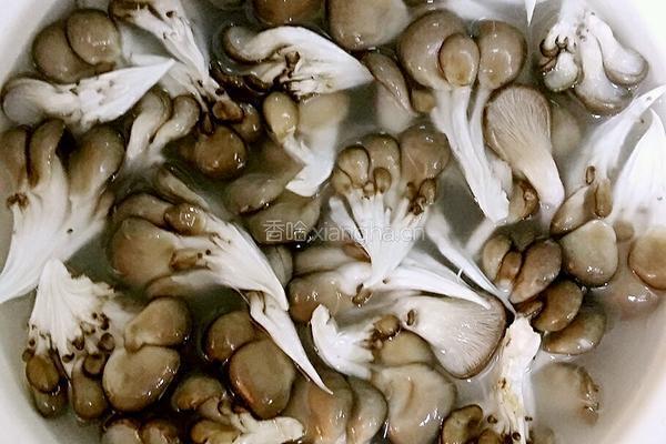蘑菇炖豆腐的做法图解3