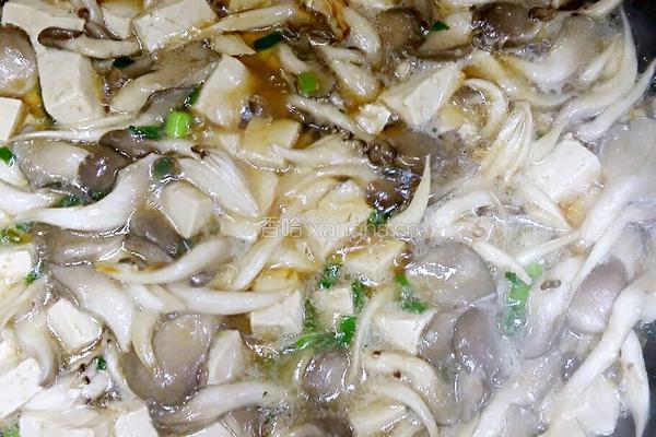 蘑菇炖豆腐的做法图解5