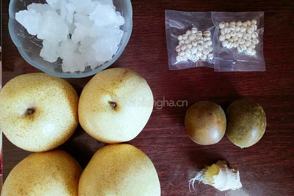 川贝秋梨膏的做法图解1