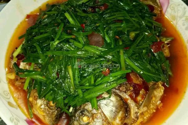 香煎小鲫鱼的做法图解3