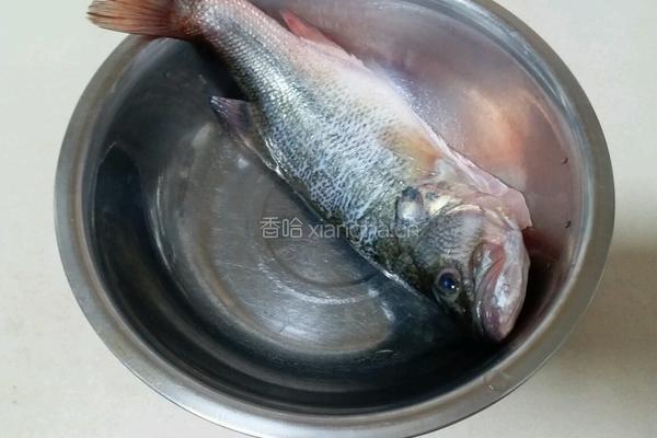 清蒸鲈鱼的做法图解1