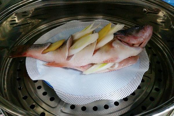 清蒸鲈鱼的做法图解6