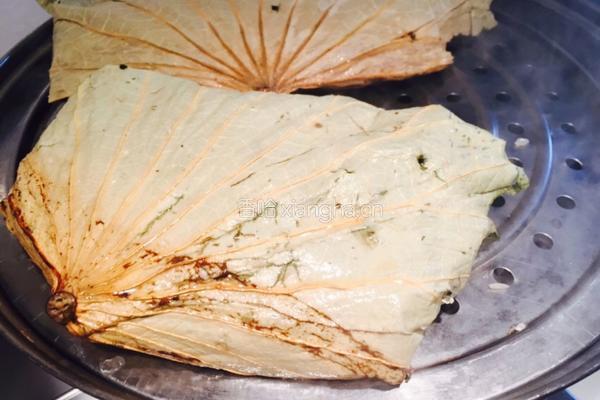 荷叶包饭的做法图解10